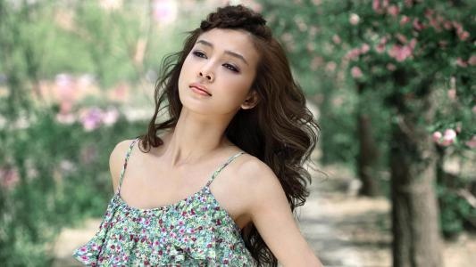 属鸡2022年三大喜事，2022年生肖鸡全年运程