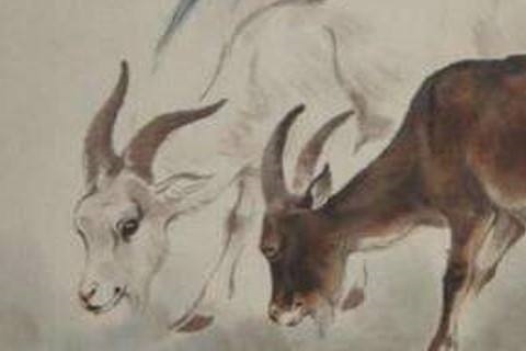 991年属羊是什么土，1991年属羊的男的姻缘"