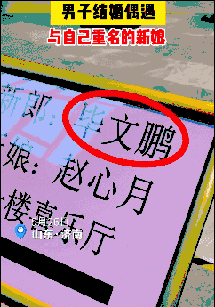 男94女94合适在一起吗,94狗和94狗婚配指数