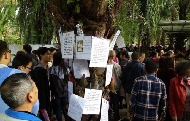 属羊女人适合做什么生意，几月出生属羊是饿羊