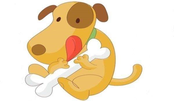 生肖属狗2022年运势,82年属狗女在2022 年的运程