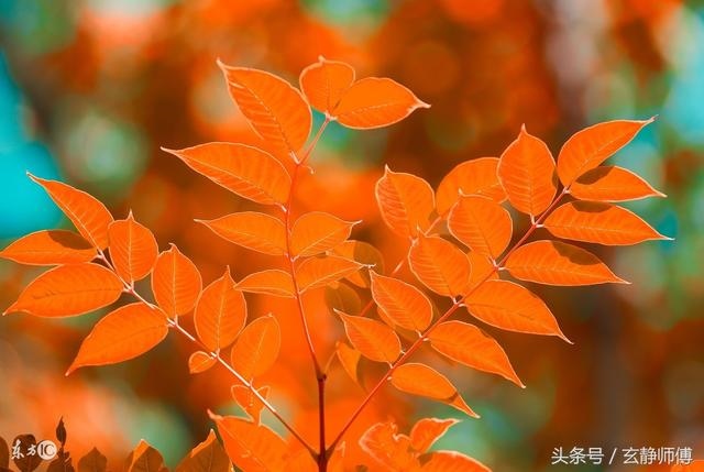 己土2022年壬寅年运势，2022壬寅易经预言