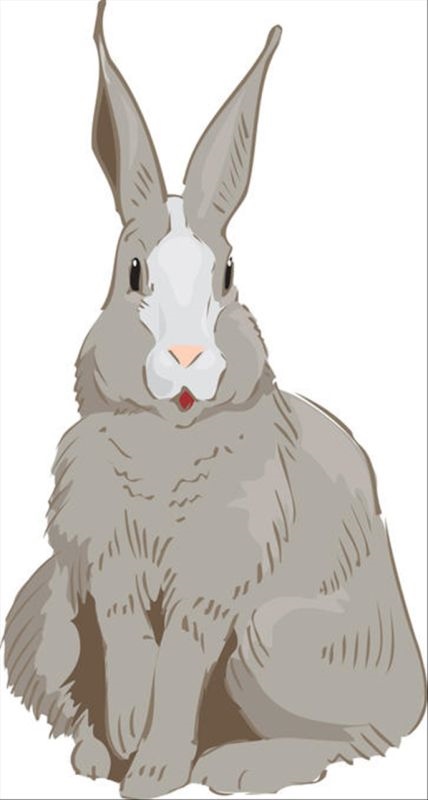 十二生肖属相婚配表大全(男) 男属鸡的属相婚配表