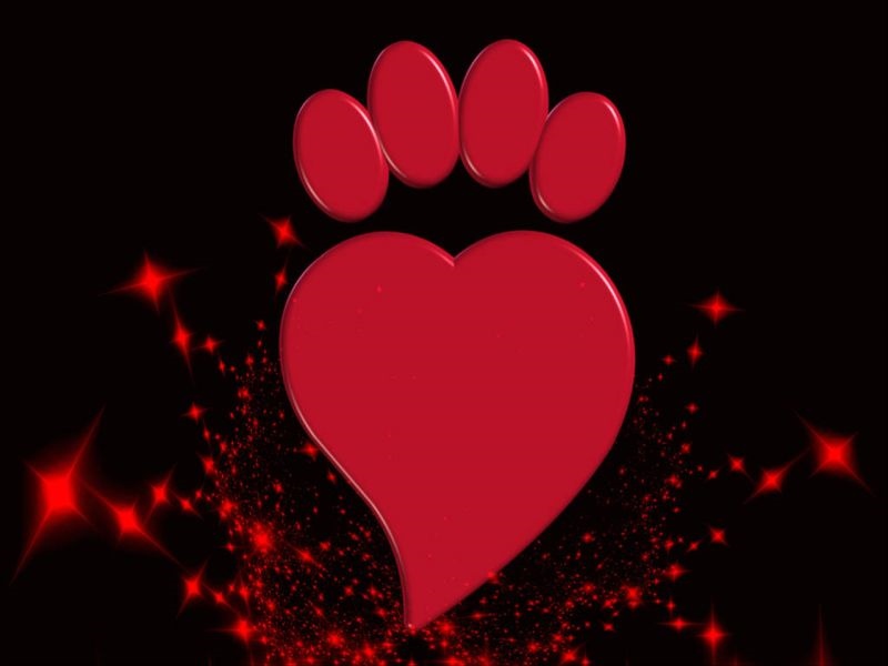 哪些属相相配婚姻幸福 星座属相配对婚姻配对