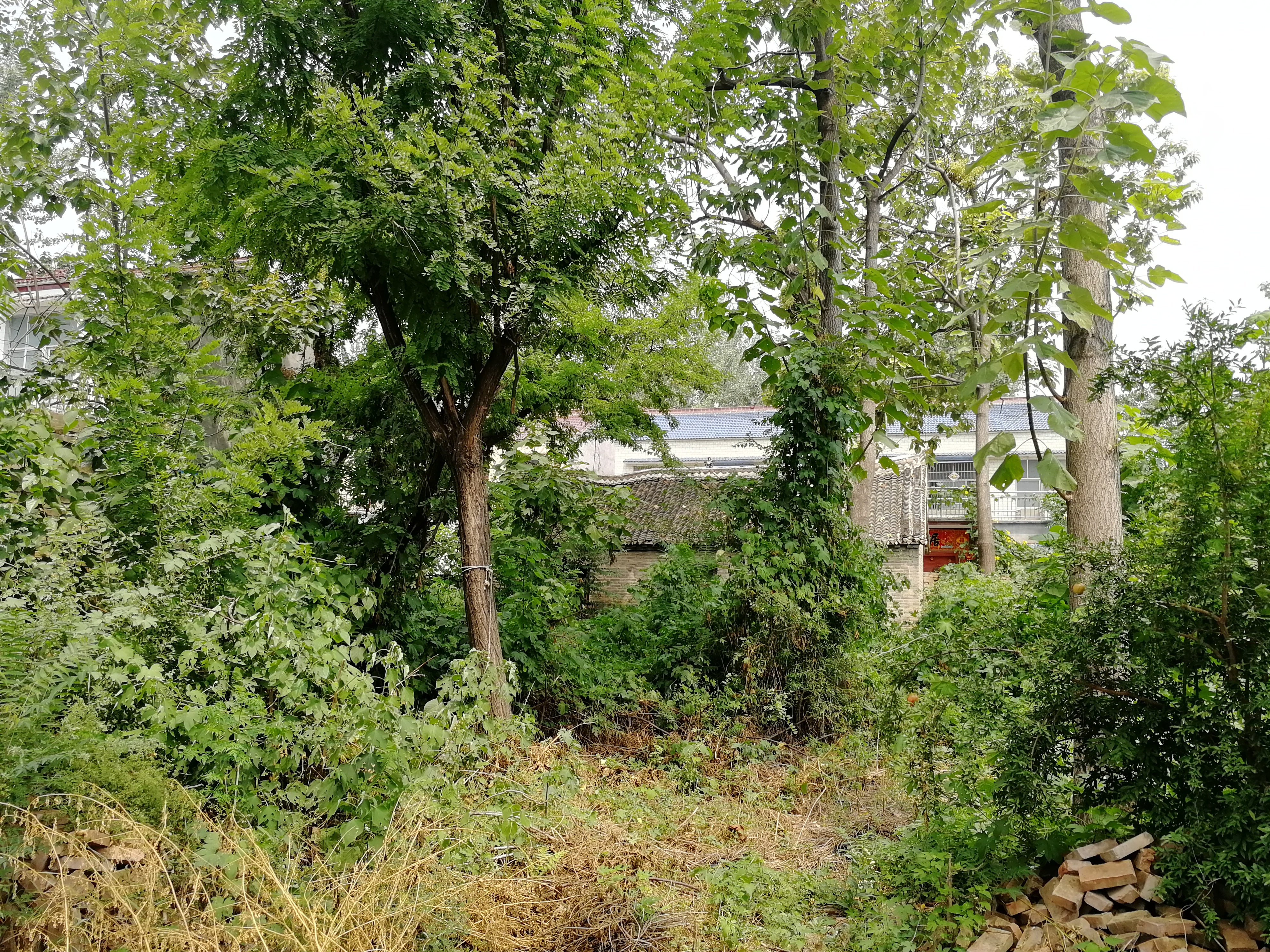 河南女子带8月大男婴算命后离奇失踪13年 临走留下神秘纸条 算命先生一家一同消失