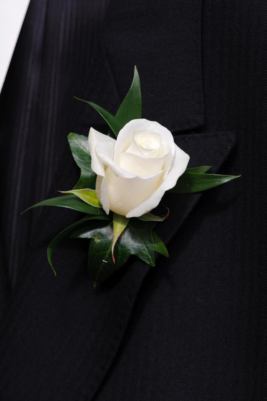 男女属相婚配表大全上篇 鼠的婚配属相最佳配对表