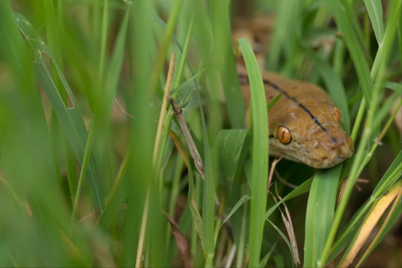 五行查询生辰八字查询 五行取名字免费起名