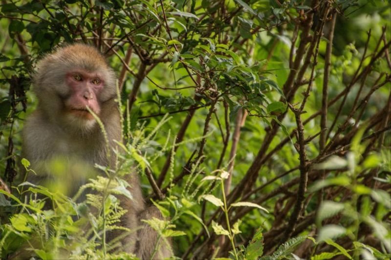 越来越相爱的生肖配对 能够爱一辈子的生肖配对