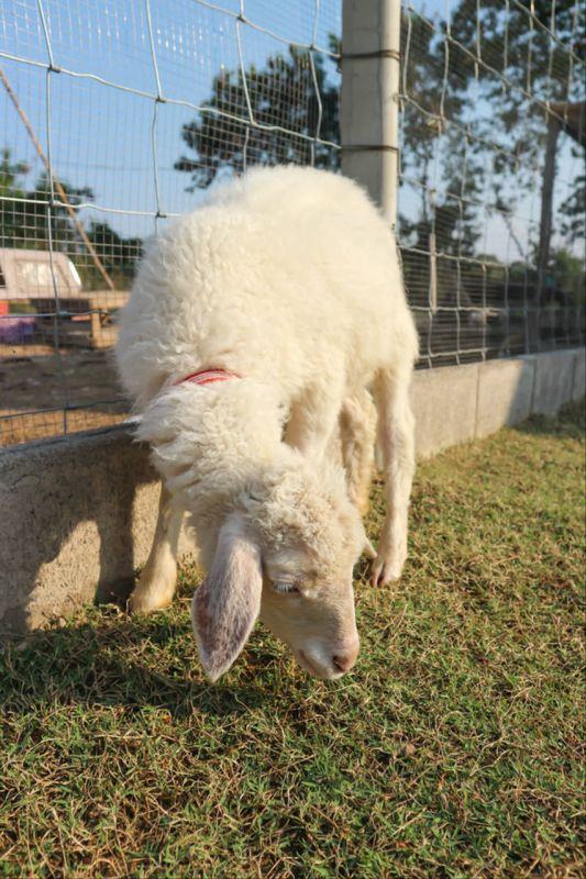 最准的八字合婚免费的详细 八字合婚免费领证吉日