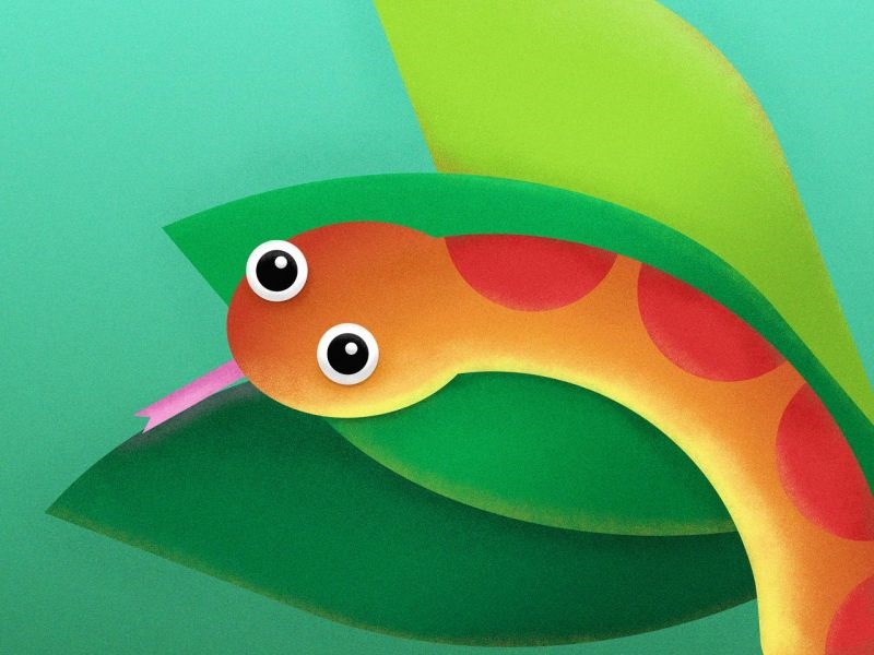 属蛇的和什么属相最配 属蛇的女属相的男最配