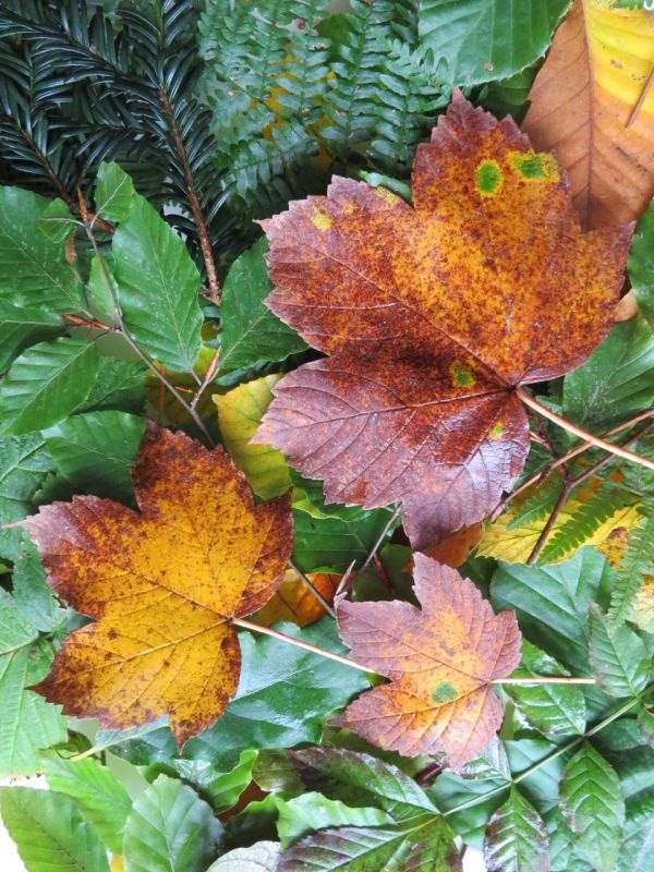 最准确的万年历老黄历 最准确的万年历