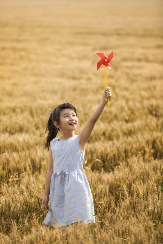 出生年月日斤两查询表 几两命怎么算命有几斤几两
