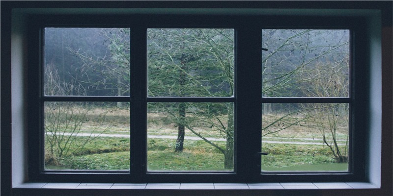 1829年圣彼得堡天文学家Kornelius Reissig绘制的星座图