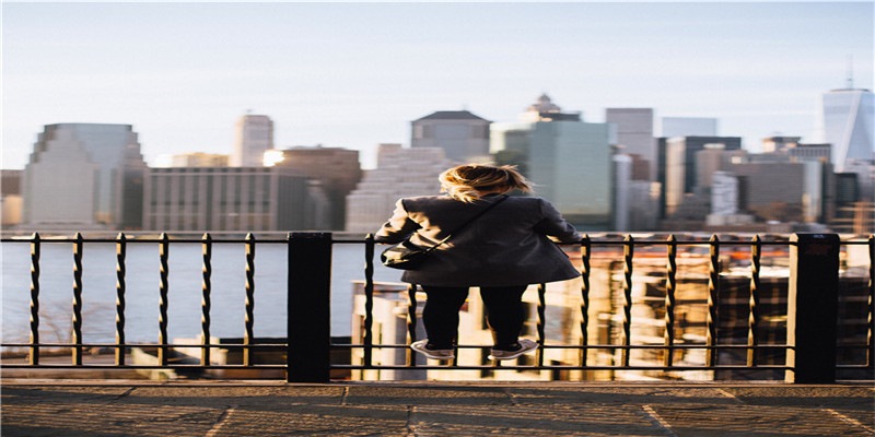 王安石诞辰千年特展：当苏轼真迹“相遇”荆公画像