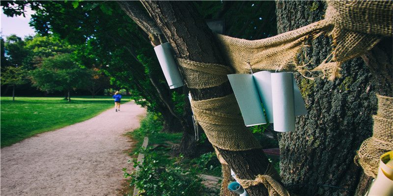 不了解十二星座？你可能看的是假的星座？