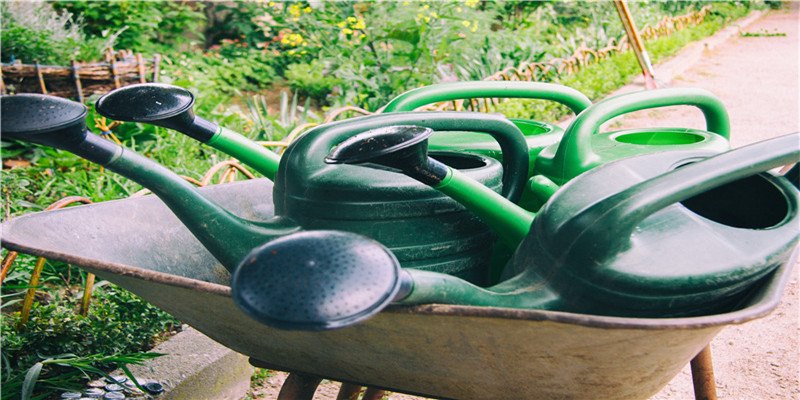 狮子座12月20-12月26日周运