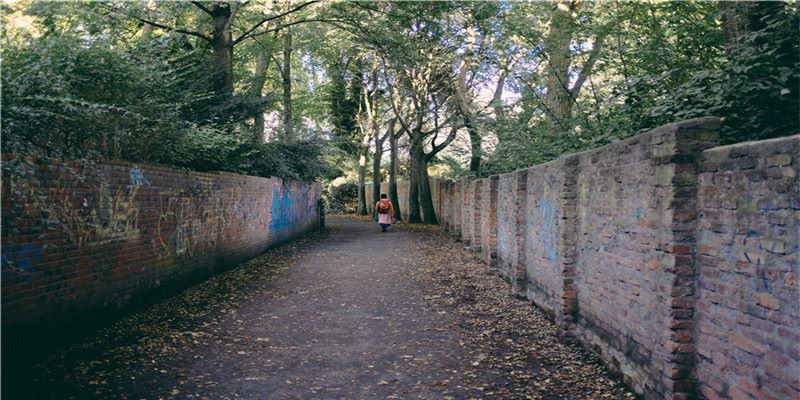 老虎证券社区：美国电塔股价翻了几十倍，那你买不买中国电塔？