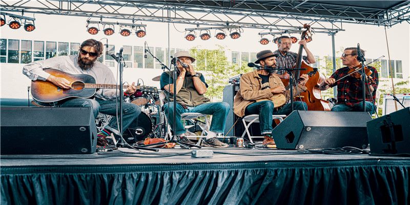 杭州每年被逮捕的蛇，比你吃的辣条还多