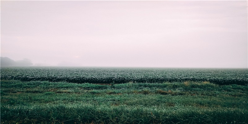 杭州每年被逮捕的蛇，比你吃的辣条还多
