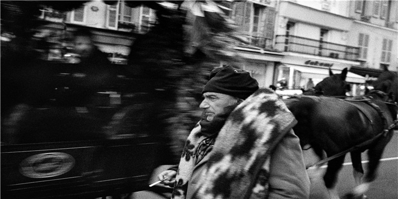 杭州每年被逮捕的蛇，比你吃的辣条还多