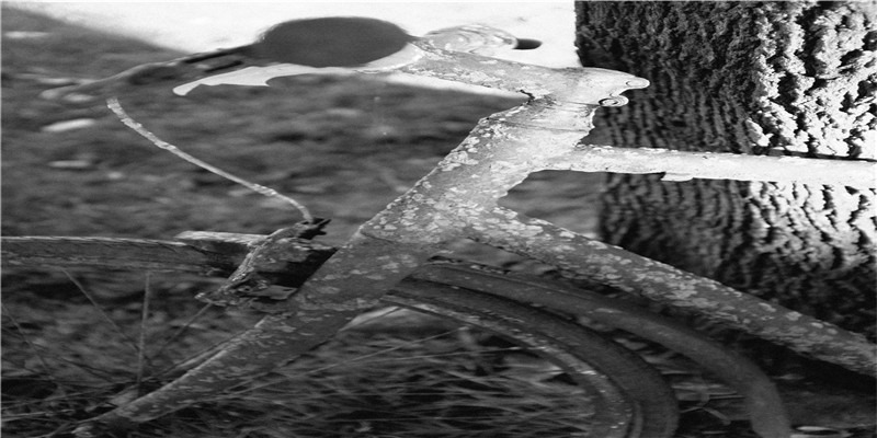 各网站测名100分的名字！咋还不适合孩子八字呢？