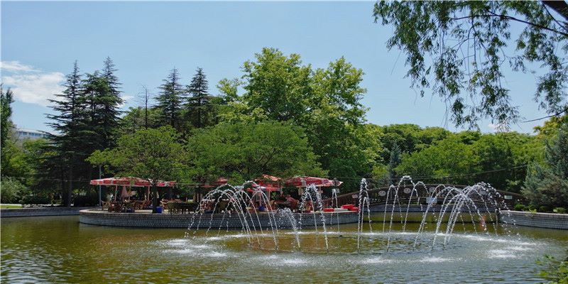 常常梦见自己掉牙或牙齿松动，真的预示着亲人遇灾吗？