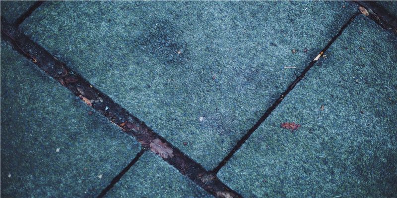 杭州每年被逮捕的蛇，比你吃的辣条还多