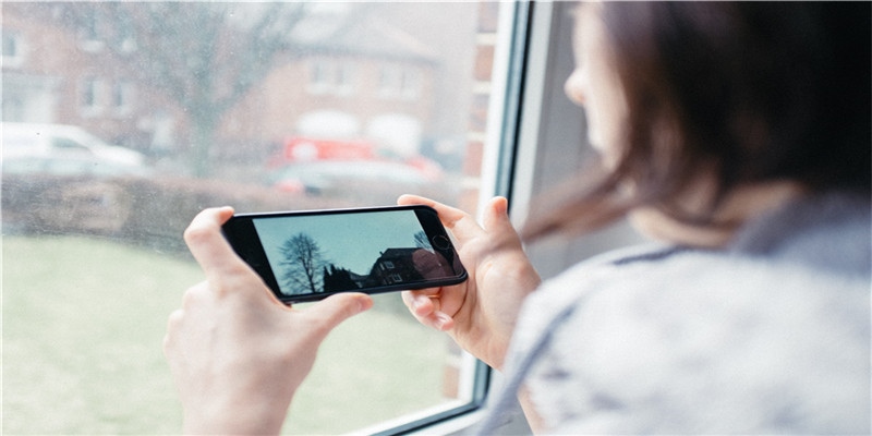 杭州每年被逮捕的蛇，比你吃的辣条还多