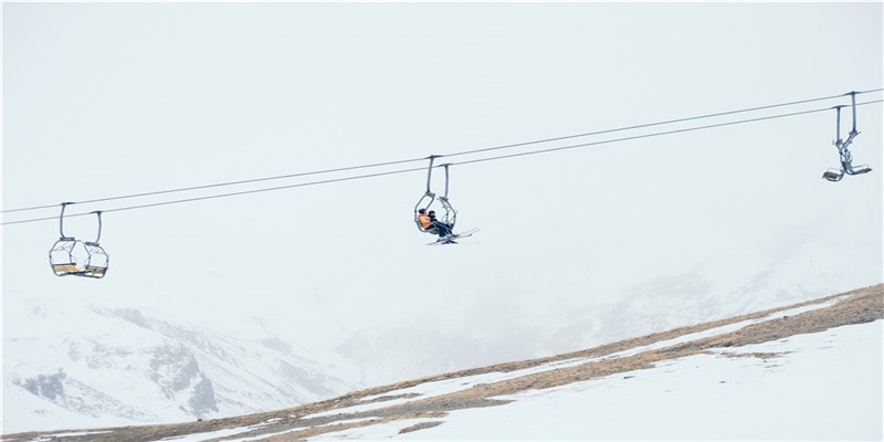 杭州每年被逮捕的蛇，比你吃的辣条还多