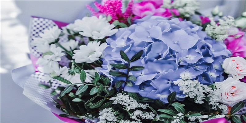 心跳和寿命有关?一分钟心跳多少次的人,更容易长寿?