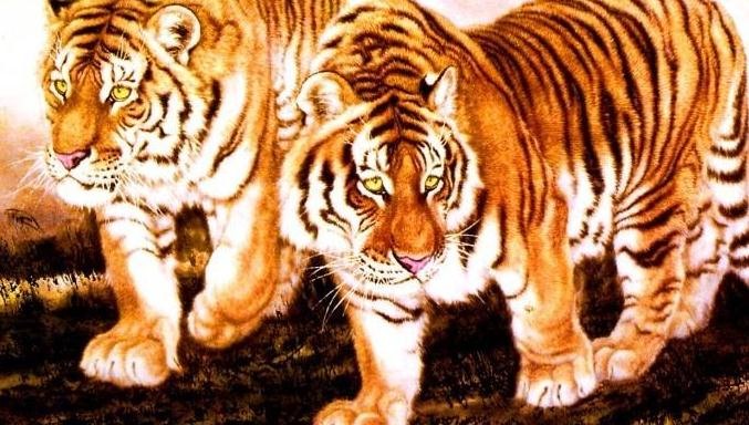 4、74年属虎女年本命年运势如何:属虎的年本命年运势如何