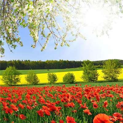 3、一生财运好运微信名字:表示好运一生的微信名有哪些？