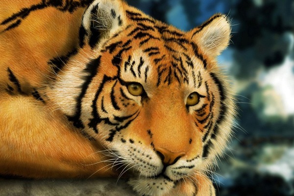 2、86年属虎36岁必死:86年属虎的三大劫难