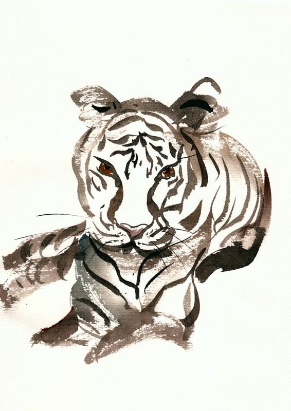 属虎和属羊的合得来吗 属虎人为什么喜欢属羊人