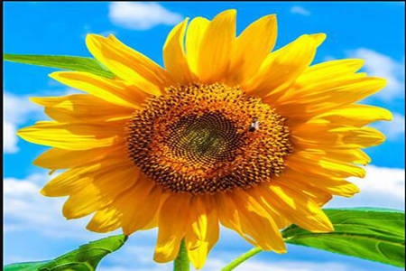 2、女人带好运的微信名字:四个字女人吉祥好运的微信名字有哪些？