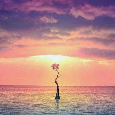 4、女人带好运的微信名字:女人带来好运的微信网名是什么？