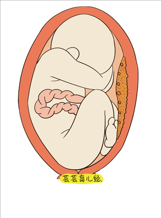 4、平躺下看男女,很准哟:这NT怎么看男女啊