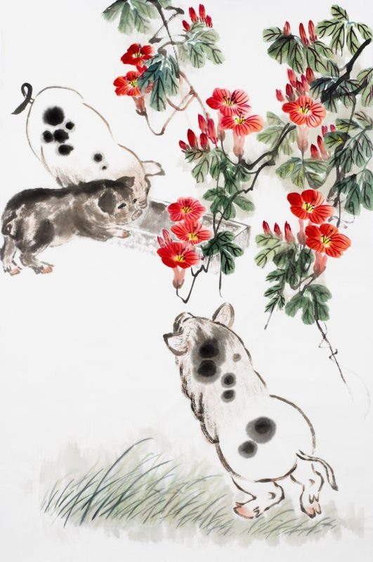 995年属猪人2022年运势 95年属猪的27岁大灾大难"