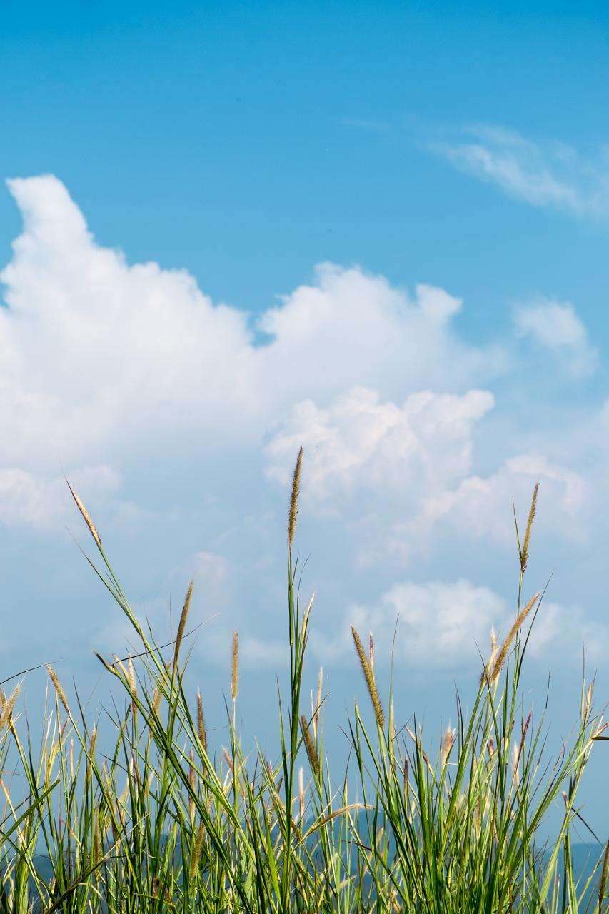 精神病最怕三句话 精神病自愈土方法