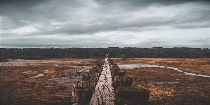 金木水火土命 金木水火土命