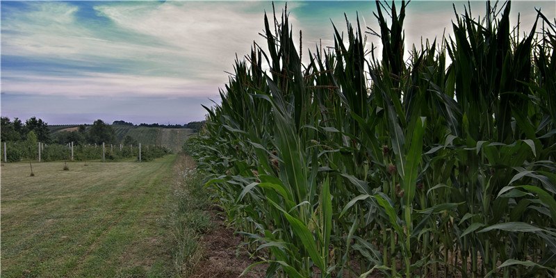 难以聚财的八字 难以聚财的八字