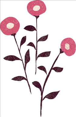 周易免费算命测运势2022年 周易算命免费测八字