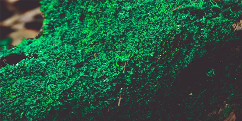 风水布置到位,招财引财财源来</p><p>