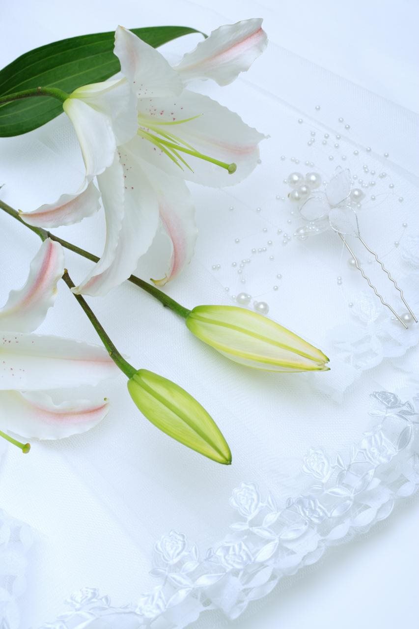 ~12月份星座表 测一测自己是什么星座"