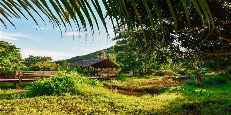 面相宫位怎么看 面相宫位怎么看