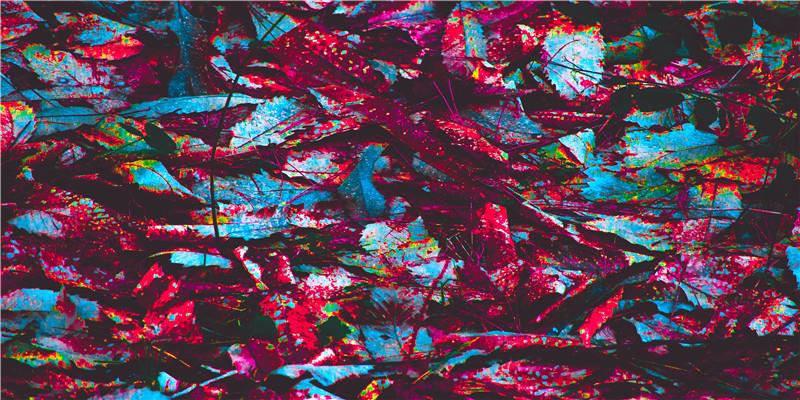 高颜值的生肖女