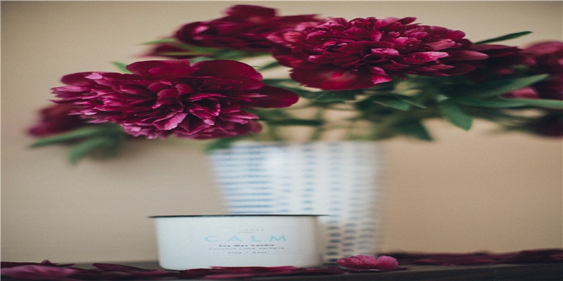 脾气及杀气重的女人面相