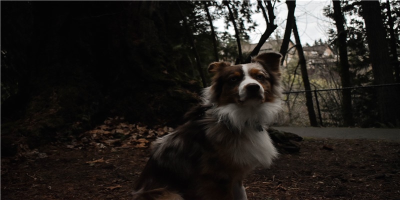 风水真的是有钱人的游戏吗？