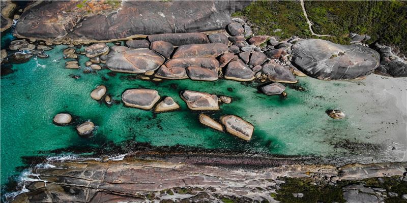 2021牛年大吉~新年可爱头像和壁纸分享 满满的祝福