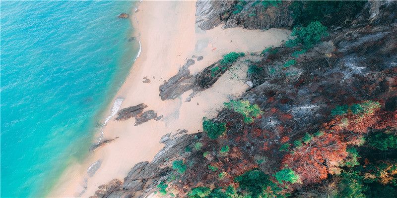 2021牛年大吉~新年可爱头像和壁纸分享 满满的祝福